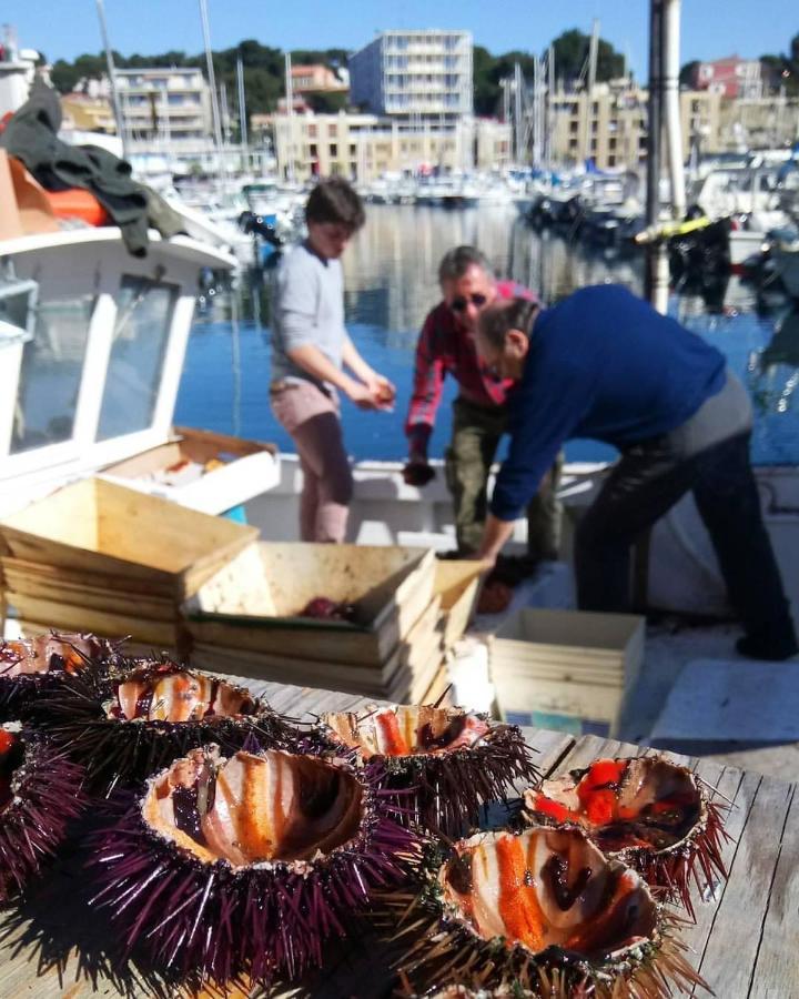 200M De La Plage ,3Mn Du Port A 50M Du Centre Ville Carry-le-Rouet Exterior foto